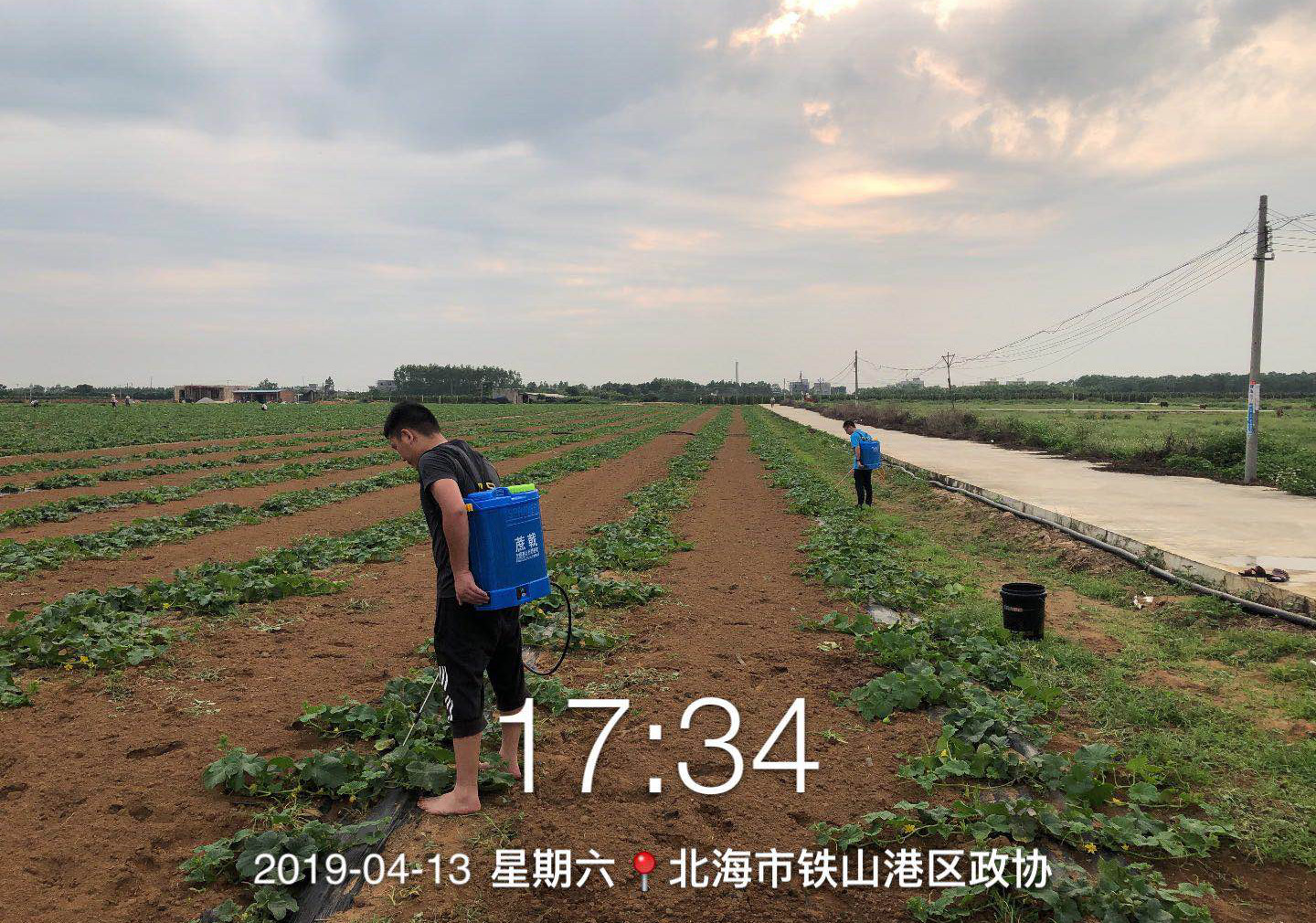 水溶肥廠家